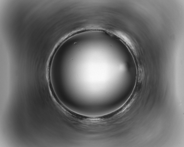X0000093731342200710161110