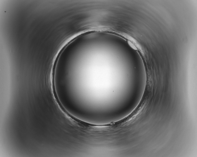 X0000093731343200710161110