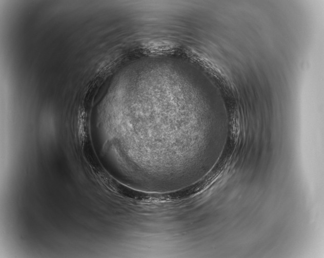 X0000093731346200710161109