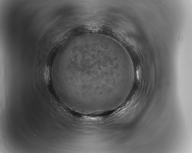 X0000093731347200710161109