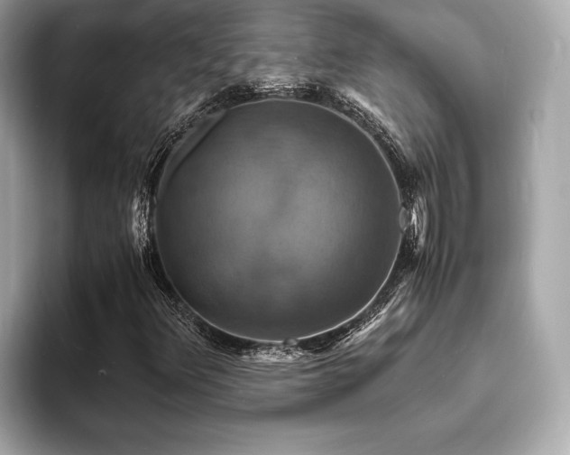 X0000093731348200710161109