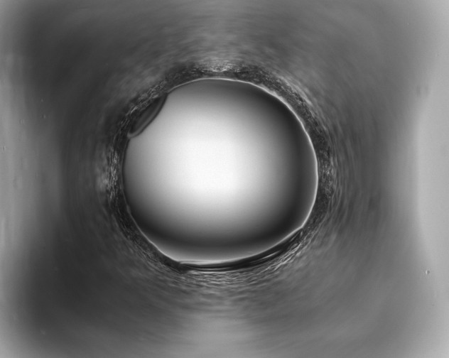 X0000093731349200710161109