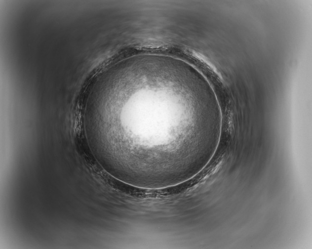 X0000093731350200710161109