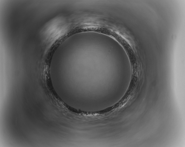 X0000093731351200710161109