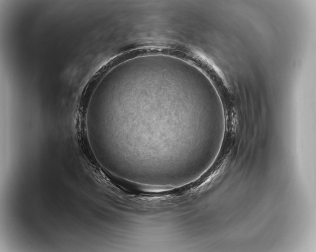 X0000093731352200710161109