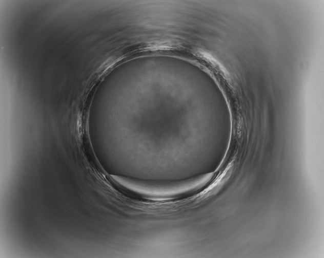 X0000093731353200710161109