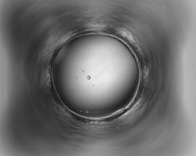 X0000093731354200710161109