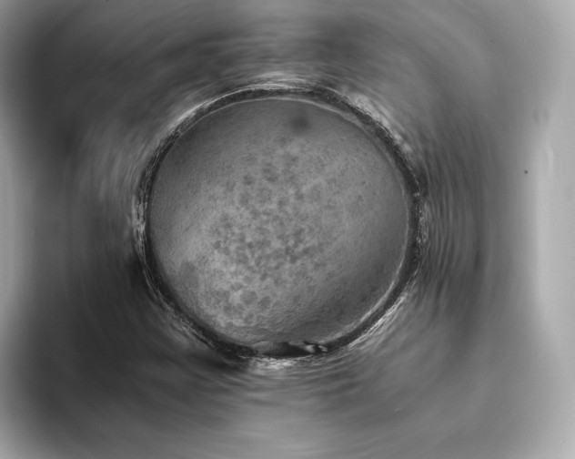 X0000093731355200710161109