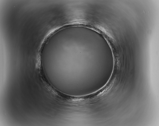 X0000093731358200710161109