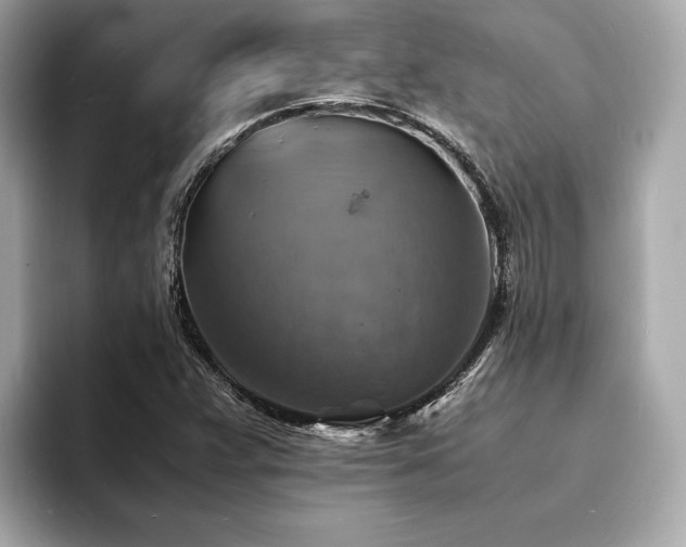 X0000093731359200710161109