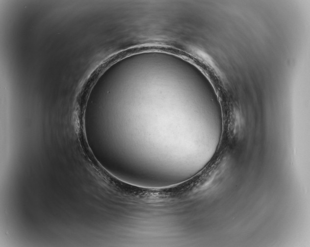 X0000093731360200710161109