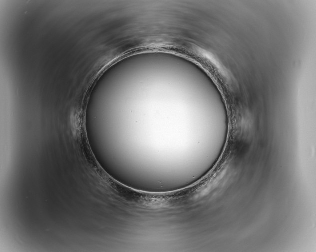 X0000093731361200710161109