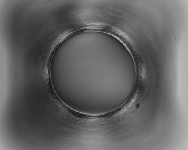 X0000093731362200710161109