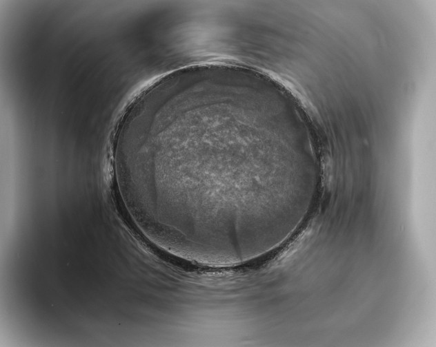 X0000093731363200710161109
