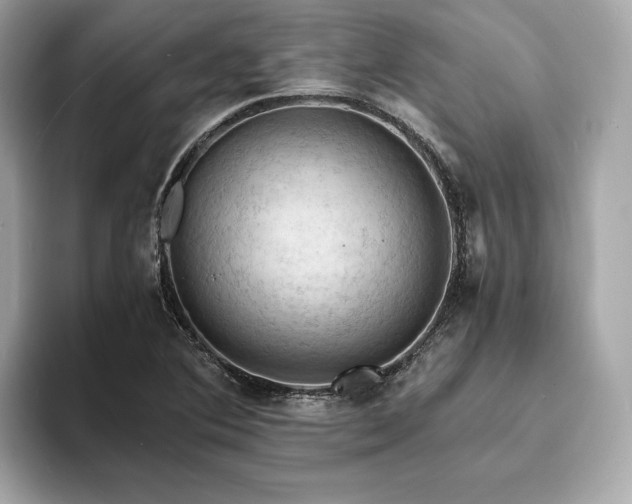 X0000093731364200710161109