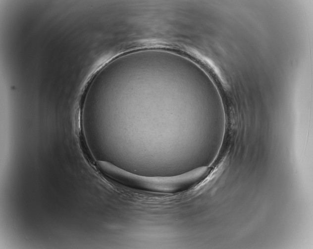 X0000093731365200710161109