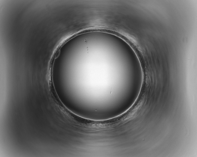 X0000093731366200710161109