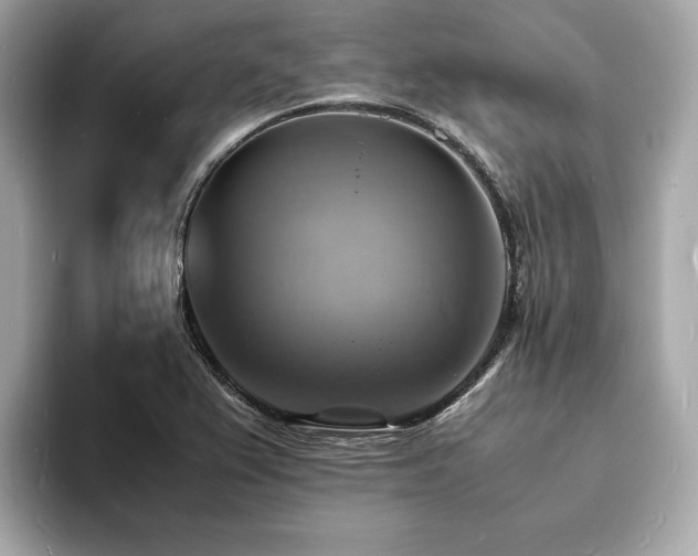 X0000093731367200710161109