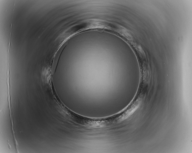 X0000093731369200710161109