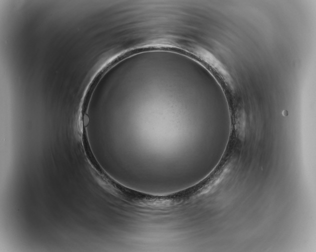 X0000093731372200710161109