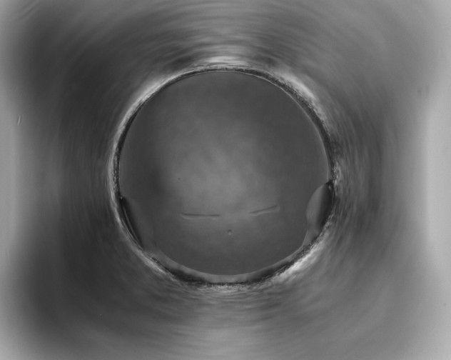X0000093731373200710161109