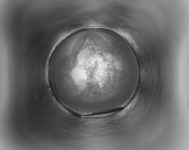 X0000093731374200710161109