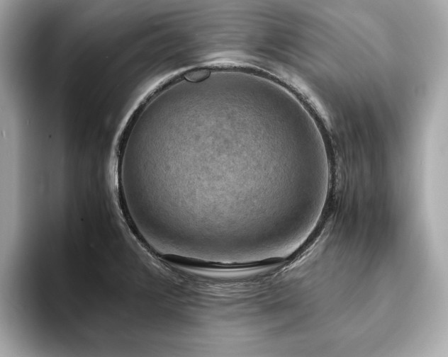 X0000093731376200710161109