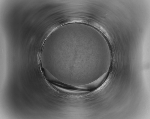 X0000093731377200710161109