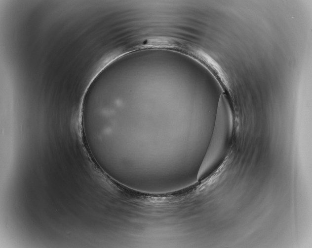 X0000093731378200710161109