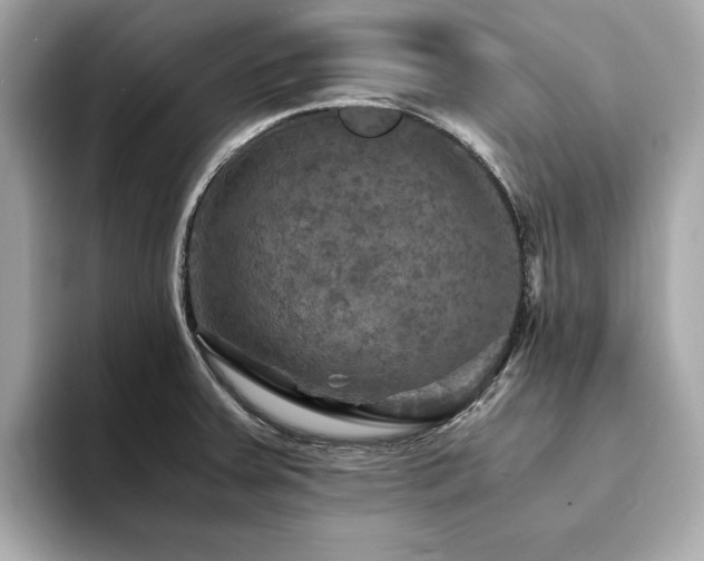 X0000093731379200710161109