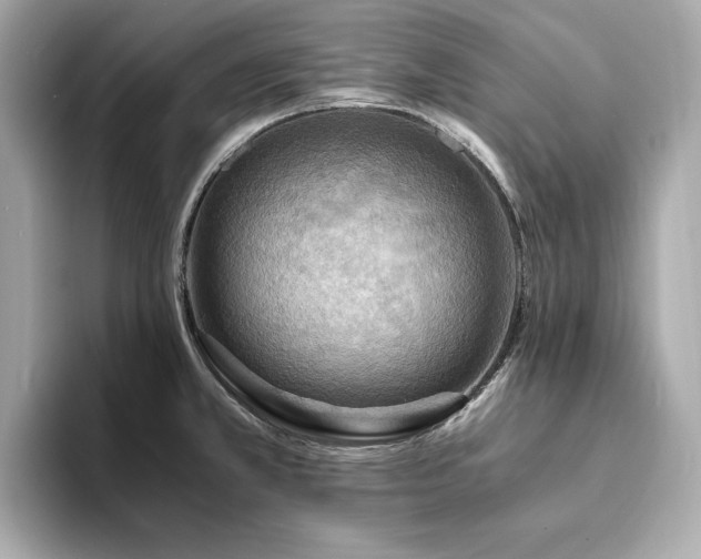 X0000093731381200710161109