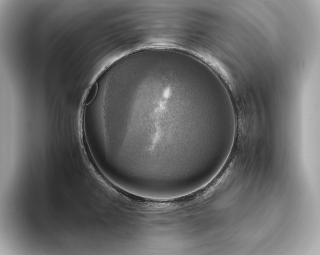 X0000093731382200710161109