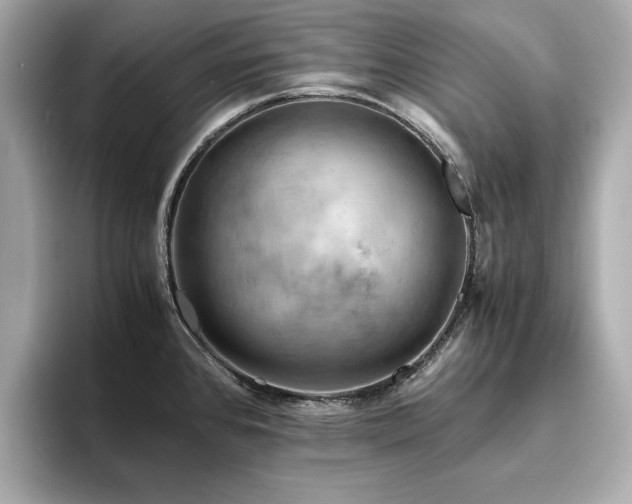 X0000093731384200710161109