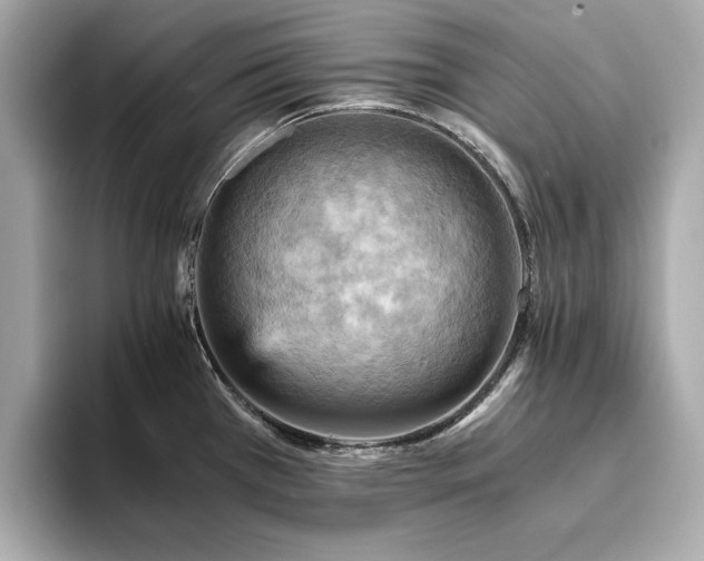 X0000093731385200710161109