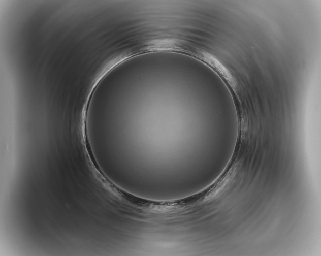 X0000093731386200710161109