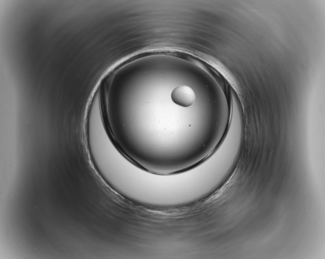 X0000093731388200710161108