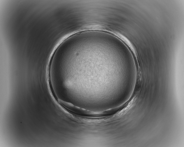 X0000093731389200710161108