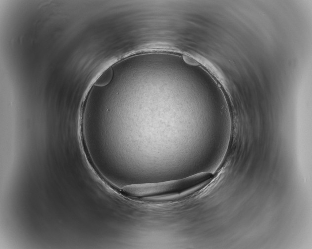 X0000093731390200710161108