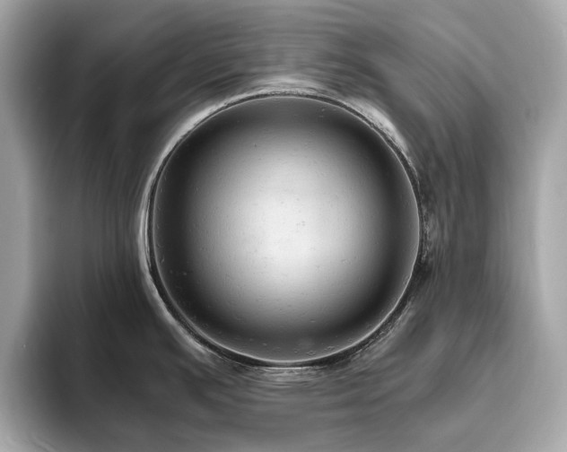 X0000093731391200710161108