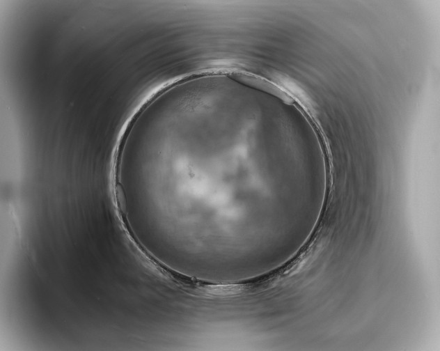 X0000093731392200710161108