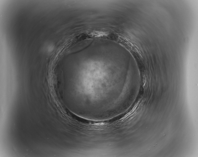 X0000093731393200710161108