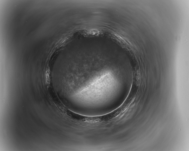 X0000093731394200710161108