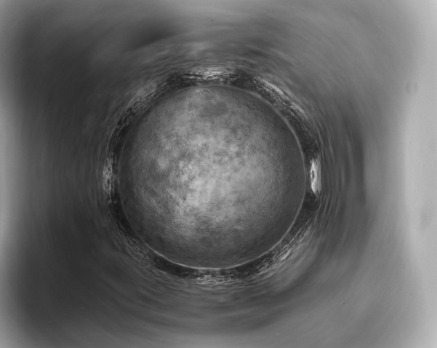X0000093731395200710161108