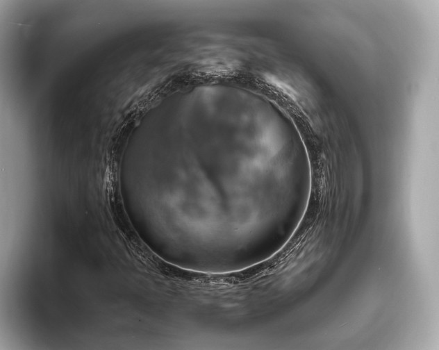 X0000093731397200710161108
