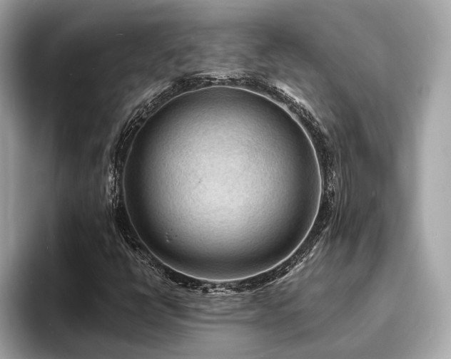 X0000093731398200710161108