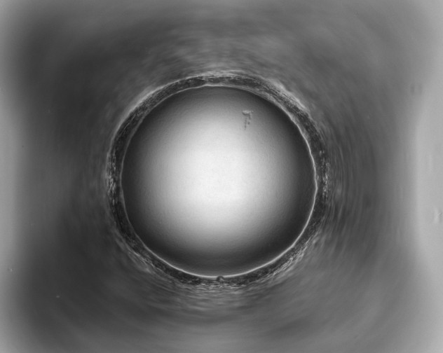X0000093731400200710161108