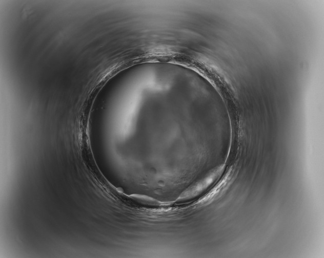 X0000093731401200710161108
