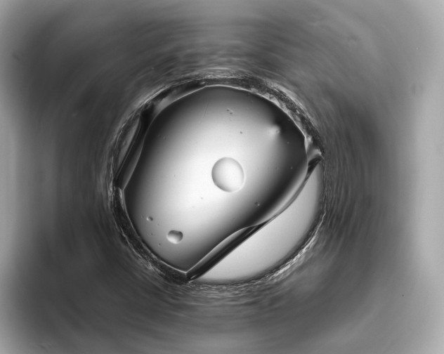 X0000093731402200710161108