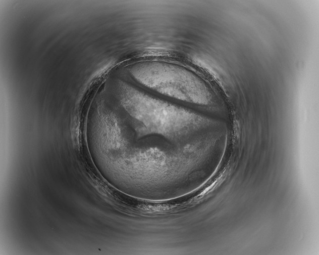 X0000093731403200710161108