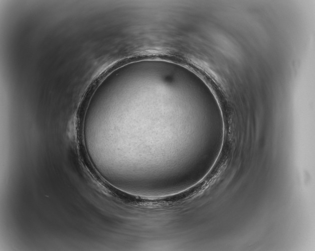 X0000093731404200710161108